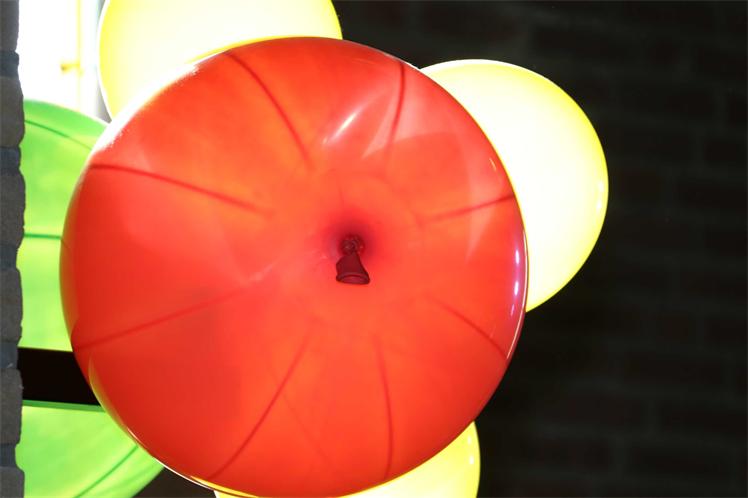 2019-02-17 Jeugdprins-Receptie 