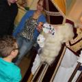 Intocht Sint Nicolaas - 150