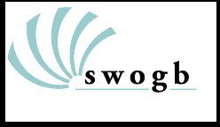 Computer cursus Swogb